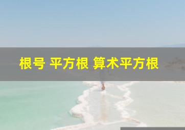 根号 平方根 算术平方根